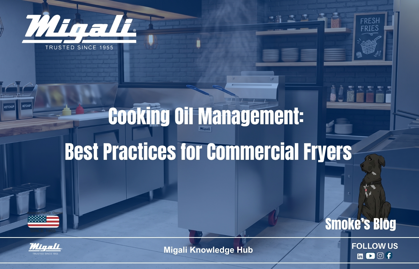 Cooking Oil Management: Best Practices for Commercial Fryers